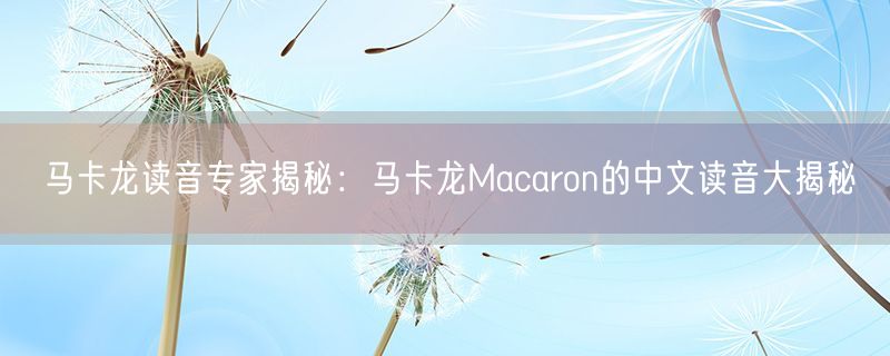 <strong>马卡龙读音专家揭秘：马卡龙Macaron的中文读音大揭秘</strong>
